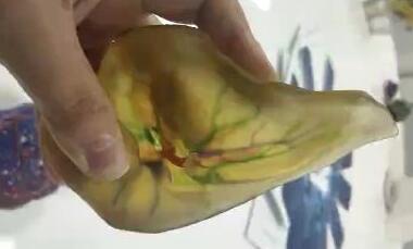 3D打印全彩軟性透明樹(shù)脂醫(yī)療模型 3D打印全彩軟性透明樹(shù)脂醫(yī)療模型