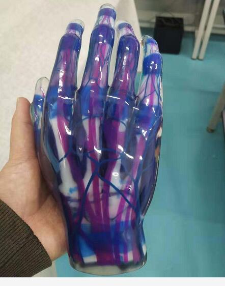 3D打印全彩軟性透明樹(shù)脂醫(yī)療模型 3D打印全彩軟性透明樹(shù)脂醫(yī)療模型